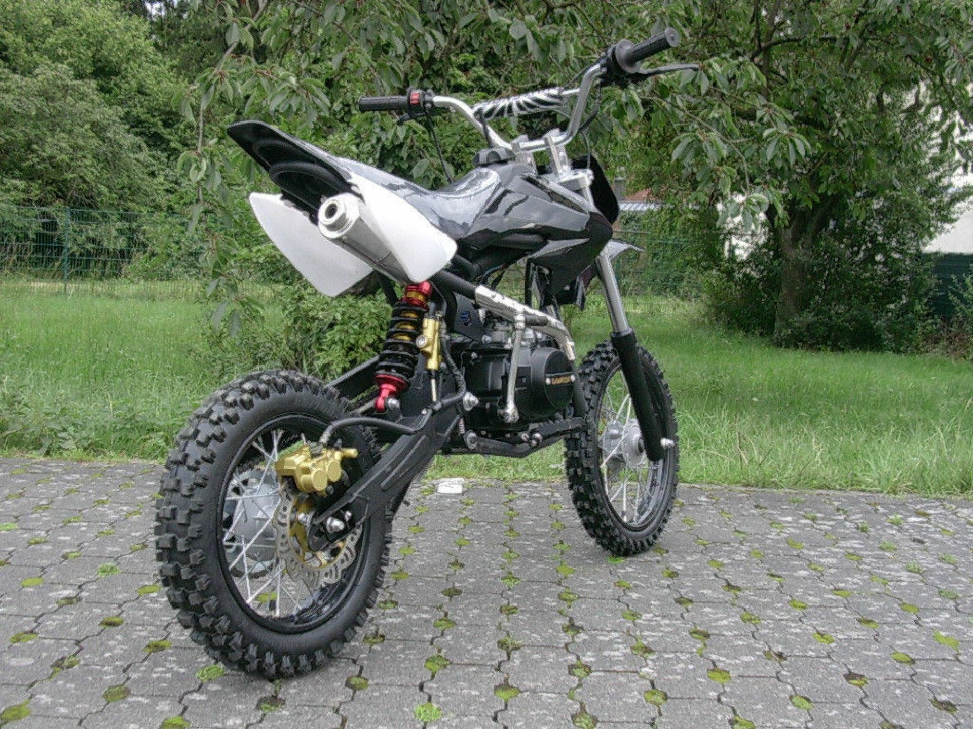 Dirt Bike 125 ccm 14 Zoll 9,5 PS AJ10015